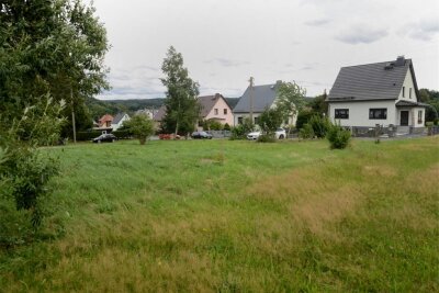 Falkenstein lässt Grünfläche in Trieb auf Vordermann bringen - Die Grünfläche am Sportplatzweg in Trieb soll ansehnlicher und dafür umgestaltet werden.
