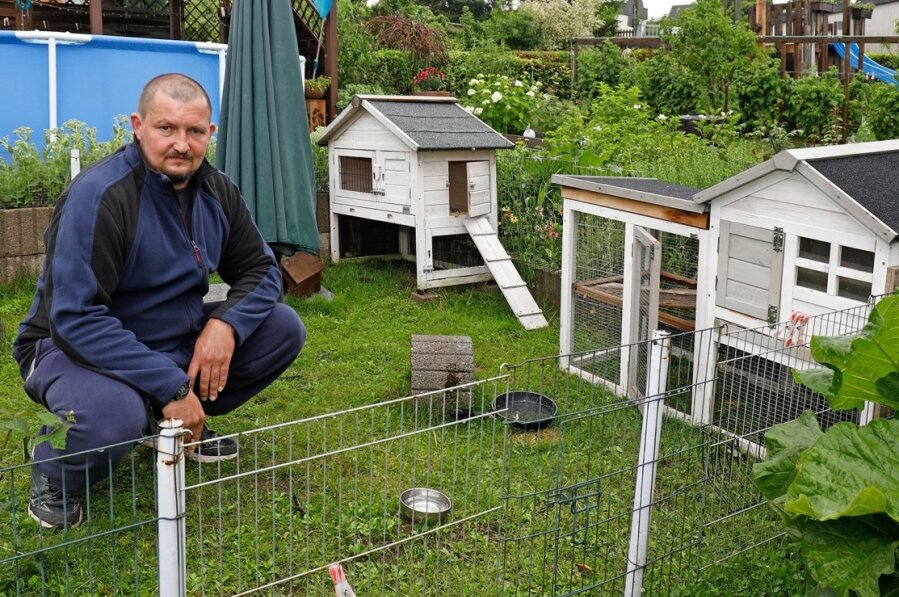 Familie Haase sucht vergeblich nach ihren Kaninchen - Sven Haase kann sich nicht erklären, wie seine Zwergkaninchen und Meerschweinchen aus dem für sie gebauten Gehege verschwunden sind. 