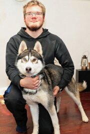 Familie sucht unermüdlich nach Husky Alaska - Den Rüden Nord hat Mikhail Vetrov wiederbekommen. 