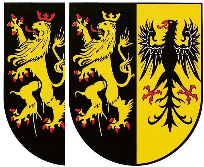 Farbenspiele um den Vogtland-Löwen - 