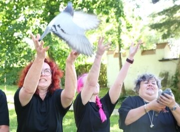 FDP lässt 25 Tauben als Zeichen gegen Demo fliegen - Die FDP ließ in Zwönitz mehrere Tauben aufsteigen. 