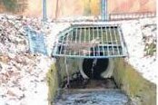 "Fehlender Fangrechen ist der Grund der Schäden" - Das entfernte Gitter liegt neben dem Schachteinlauf des Gansbaches im Freibadgelände.