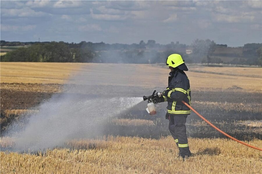 Feldbrand bei Rochlitz: Großeinsatz für Feuerwehren - Ein Feuerwehrmann löscht Flammen auf einem Feld bei Gröbschütz.