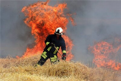 Feldbrand hält Feuerwehr in Atem - Der Feuerwehrmann versucht, das Stroh vor den immer näher kommenden Flammen wegzuziehen. 