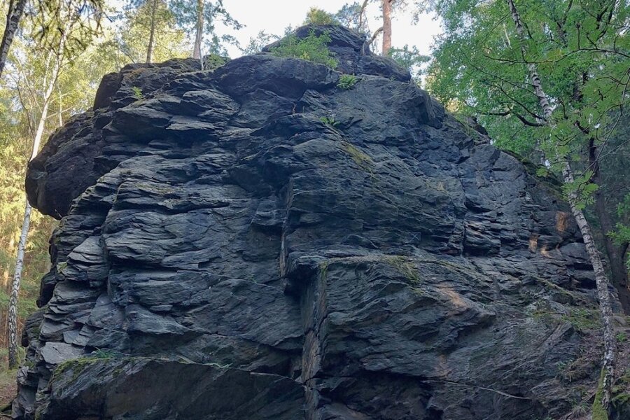 Der Poppenstein am Nordufer der Talsperre Werda besteht aus rund 500 Millionen Jahre altem Frucht- oder Knotenschiefer.