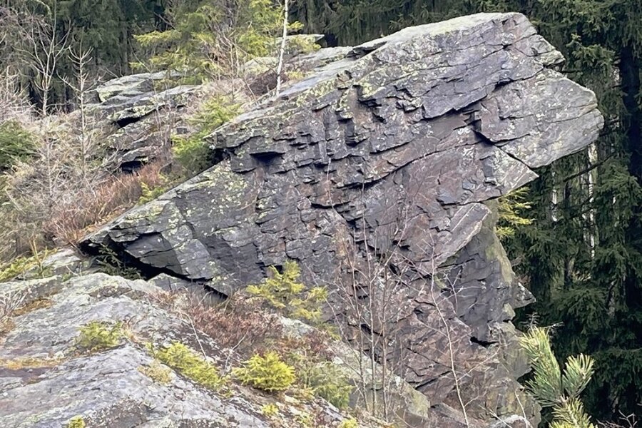 Der bekannteste Einzelfelsen am Wendelstein bei Grünbach ist der sogenannte Löwenkopf.