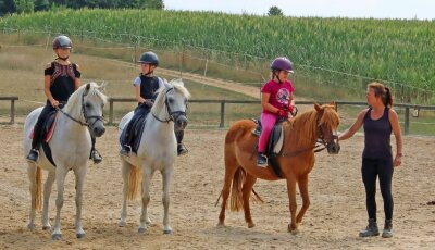 Ferien im Pferdeparadies - 