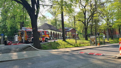 Feuer auf Friedhof in Zwickau - 