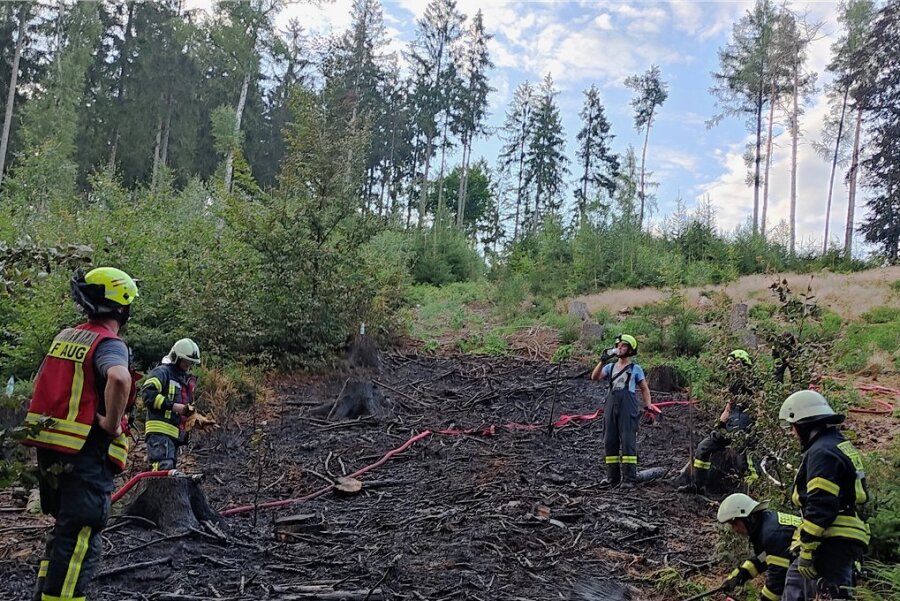 Feuer auf gerodeter Waldfläche in Falkenau - Der Brand brach am Dienstagabend auf einer gerodeten Waldfläche oberhalb des Falkenauer Freibades aus. 