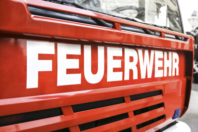 Feuer in Chemnitzer Wald entzündet - 29-Jähriger gestellt - 