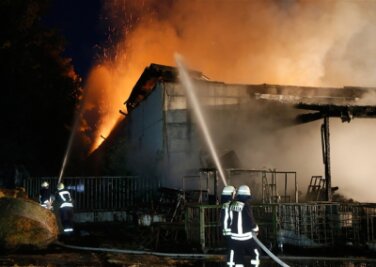 Feuer in Frankensteiner Futter-Lagerhalle - 130 Rettungskräfte waren im Einsatz, um den Lagerhallenbrand in Frankenstein zu löschen.