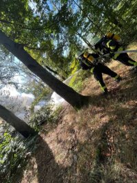 Die Einsatzkräfte der Freiwilligen Feuerwehr Mittweida löschten die brennende Laube, die in einem Waldgrundstück stand.