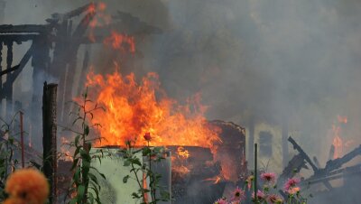 Feuer zerstört Gartenlauben - 