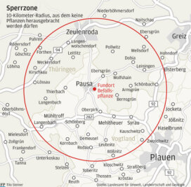 Feuerbakterium im Vogtland entdeckt - Amt zieht Sperrzone - 