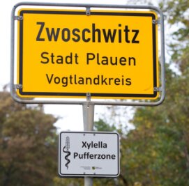 Feuerbakterium: Leichtes Aufatmen im Vogtland - 