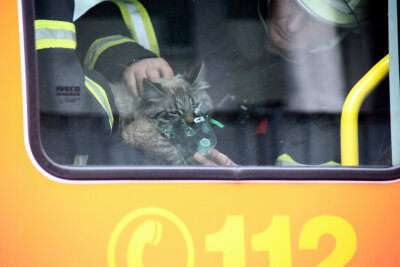 Feuerwehr beatmet Katze - 
