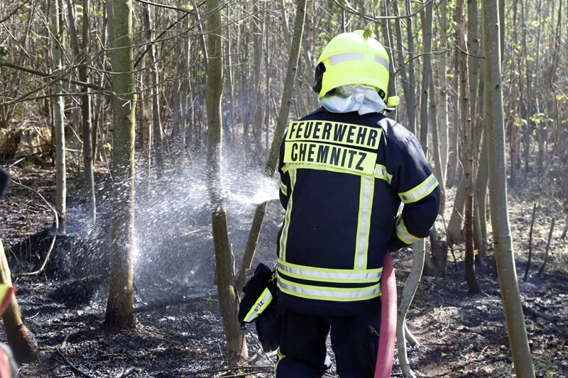 Feuerwehr löscht Brand in Adelsberger Wald - 
