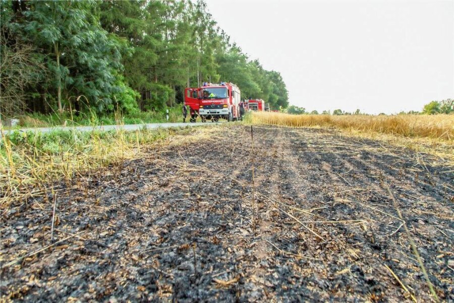 Feuerwehr löscht Feldbrand bei Lichtenstein - Das Getreidefeld brannte auf einer Fläche von 150 bis 200 Quadratmetern.