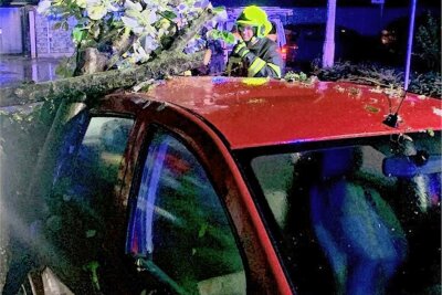 Feuerwehr Reichenbach im Dauereinsatz: Ast kracht auf Autodach - Ein dicker Ast einer Linde stürzte in der Sturmnacht von Donnerstag auf Freitag auf einen Dacia in Reichenbach.