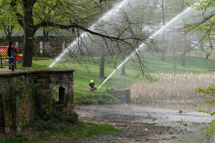Feuerwehr rettet Frösche im Schönherrteich - Wasser für Kaulquappen: Ohne die Hilfe der Feuerwehr wäre der Teich wohl ausgetrocknet