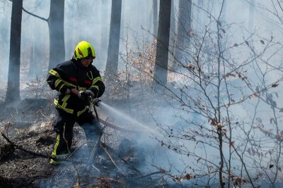 Feuerwehr rückt zu Brand im Rochlitzer Bergwald aus - 