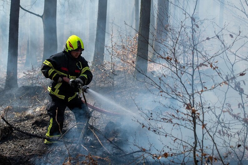 Feuerwehr rückt zu Brand im Rochlitzer Bergwald aus - 