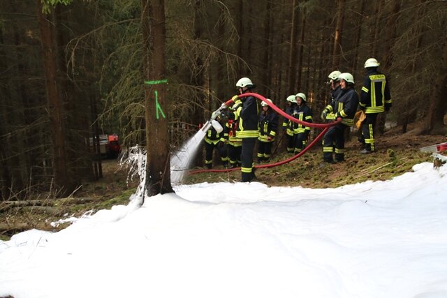 Feuerwehr rückt zu Brand in Wald aus - Zu dem Schwelbrand kam es in der Nähe des Erdmannsdorfer Bades.