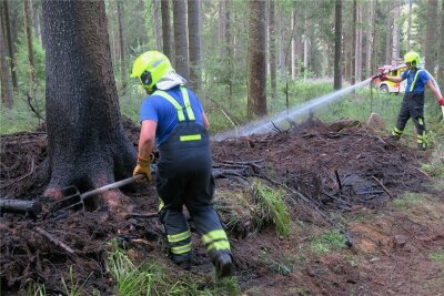 Feuerwehr rückt zu Waldbrand in Carlsfeld aus - Kameraden der Feuerwehr löschten am Mittwoch einen Waldbrand in Carlsfeld. 