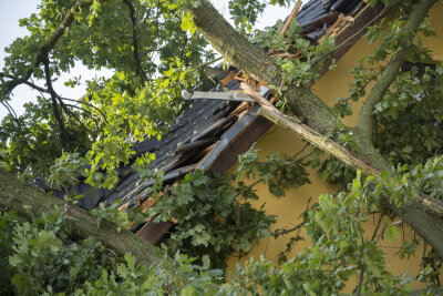Feuerwehr wegen umgestürzter Bäume in Chemnitz im Einsatz - In Mittelbach krachten Äste eines Baumes auf ein Wohnhaus.