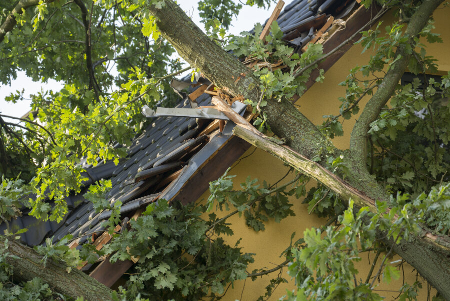 Feuerwehr wegen umgestürzter Bäume in Chemnitz im Einsatz - In Mittelbach krachten Äste eines Baumes auf ein Wohnhaus.