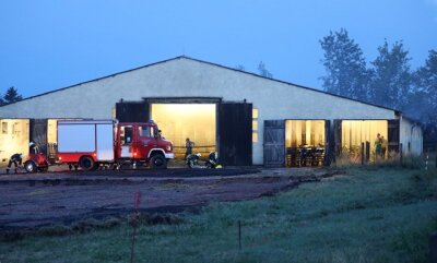 Feuerwehreinsatz in Rinderstall - 