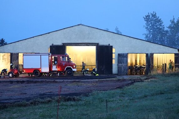 Feuerwehreinsatz in Rinderstall - 