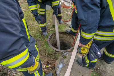Feuerwehreinsatz: Öl im Schwarzwasser - 