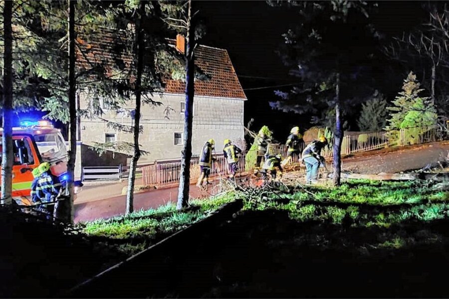 Feuerwehreinsatz zu später Stunde: Fichte stürzt in Telefonleitung - Am späten Mittwochabend mussten Feuerwehrleute in Döhlen eine umgestürzte Fichte zerkleinern. 