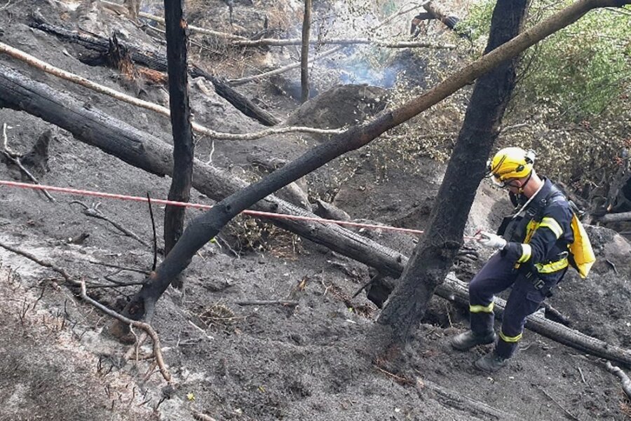 Feuerwehrleute aus Rochlitz, Penig und Geringswalde haben bereits vergangene Woche beim Waldbrand in der Sächsischen Schweiz geholfen. 