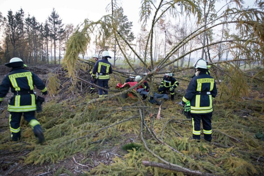 Feuerwehren in Mittelsachsen proben den Ernstfall - Bei einem Übungsalarm war ein Baum vermeintlich auf einen Fortsarbeiter gestürzt