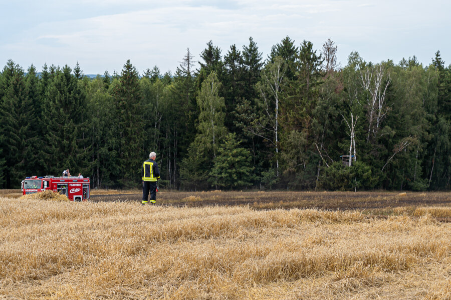 Feuerwehren rücken zu Feldbrand aus - Etwa zweieinhalb bis drei Hektar waren von dem Brand betroffen.