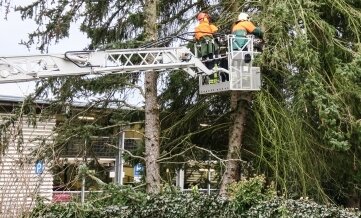 Feuerwehren sichern umstürzenden Baum - Einen Baum, der auf ein Wohnhaus zu stürzen drohte, hat die Feuerwehr am Montag in Bad Schlema gesichert. 