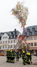 Feuerwehrleute stellen Maibaum auf - Der bunt geschmückte Maibaum ziert nun den Marktplatz in Rochlitz.