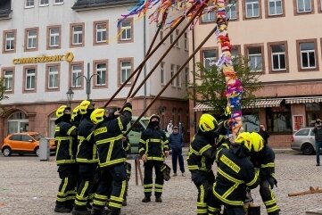 Feuerwehrleute stellen Maibaum auf - Der bunt geschmückte Maibaum ziert nun den Marktplatz in Rochlitz.