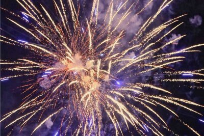 Feuerwerk in Auerbach erschreckt Hunde und verärgert Tierhalter - Das Feuerwerk am Samstagabend sorgte für Hochzeitsgäste für Freude, bei Hundehaltern für Unverständnis.