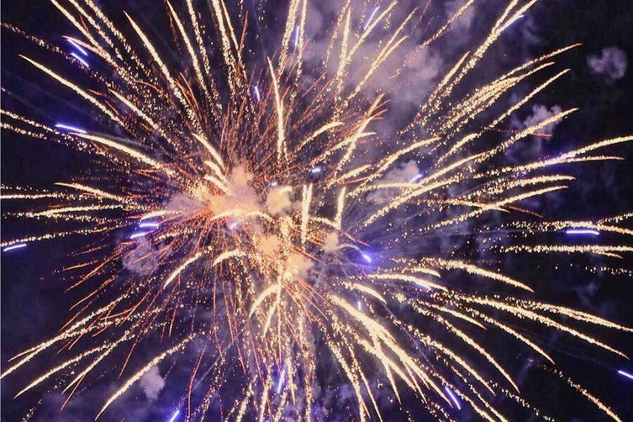 Feuerwerk in Auerbach erschreckt Hunde und verärgert Tierhalter - Das Feuerwerk am Samstagabend sorgte für Hochzeitsgäste für Freude, bei Hundehaltern für Unverständnis.