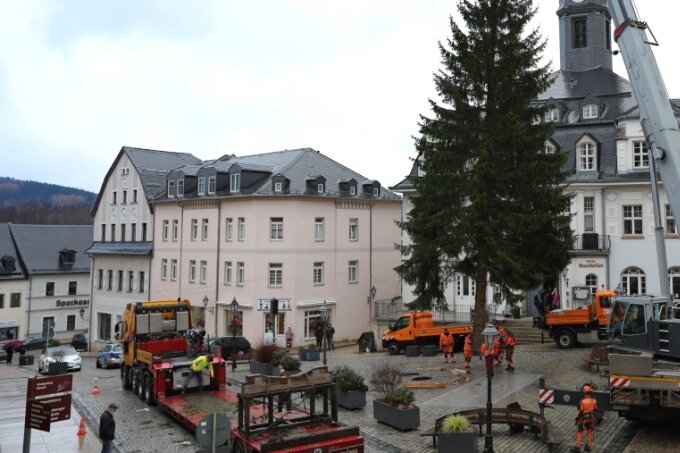 Fichte aus Erlabrunn schmückt als Weihnachtsbaum den Schwarzenberger Markt 