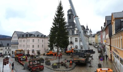Fichte aus Erlabrunn schmückt als Weihnachtsbaum den Schwarzenberger Markt - 