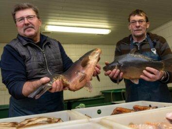 Fischer suchen Retter für ihren Betrieb - Im Fischhaus von Volker Fuhrmann (l.) und Gunter Schlegel in Schweikershain sind besonders zu Silvester die Karpfen gefragt. Nun suchen die beiden jemanden, der ihr Geschäft übernimmt. 
