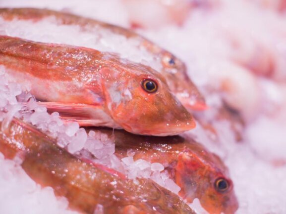 Fischkonsum erreicht Rekordmarke -  
          20,5 Kilogramm Fisch werden weltweit pro Kopf und Jahr verzehrt.