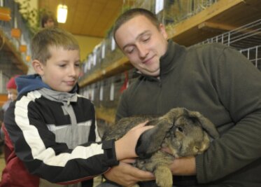 Kaninchen-Ausstellung