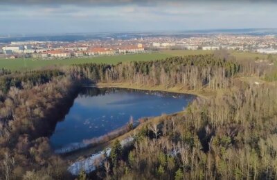 Förderverein kümmert sich um grüne Oase - Das Waldbad "Großer Teich" im Freiberger Stadtwald. 