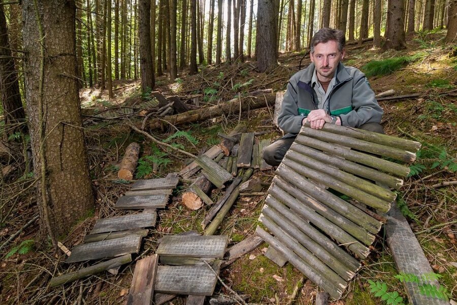 Förster beseitigt illegale Trails in Börnichener Wald - und wird nun bedroht - Revierleiter Thomas Köhler vor den Resten einer bei dem Arbeitseinsatz zerstörten Schanze. 