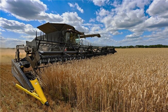 Roggenernte auf einem Feld in Brandenburg. Deutschland kann sich allein mit Getreide versorgen. Bei Futtermitteln allerdings wird man den Ausfall von Importen aus der Ukraine und Russland spüren. 